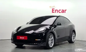 Tesla Model y Long Range AWD 2021