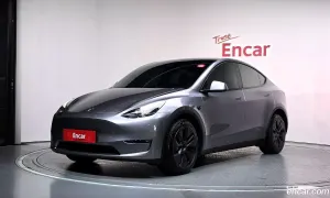 Tesla Model y Long Range AWD 2024