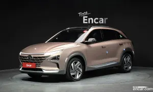 Hyundai Nexo Premium 2024