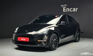 Tesla Model y Standard Range RWD 2021