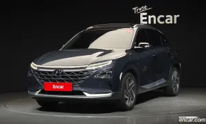 Hyundai Nexo Premium 2019