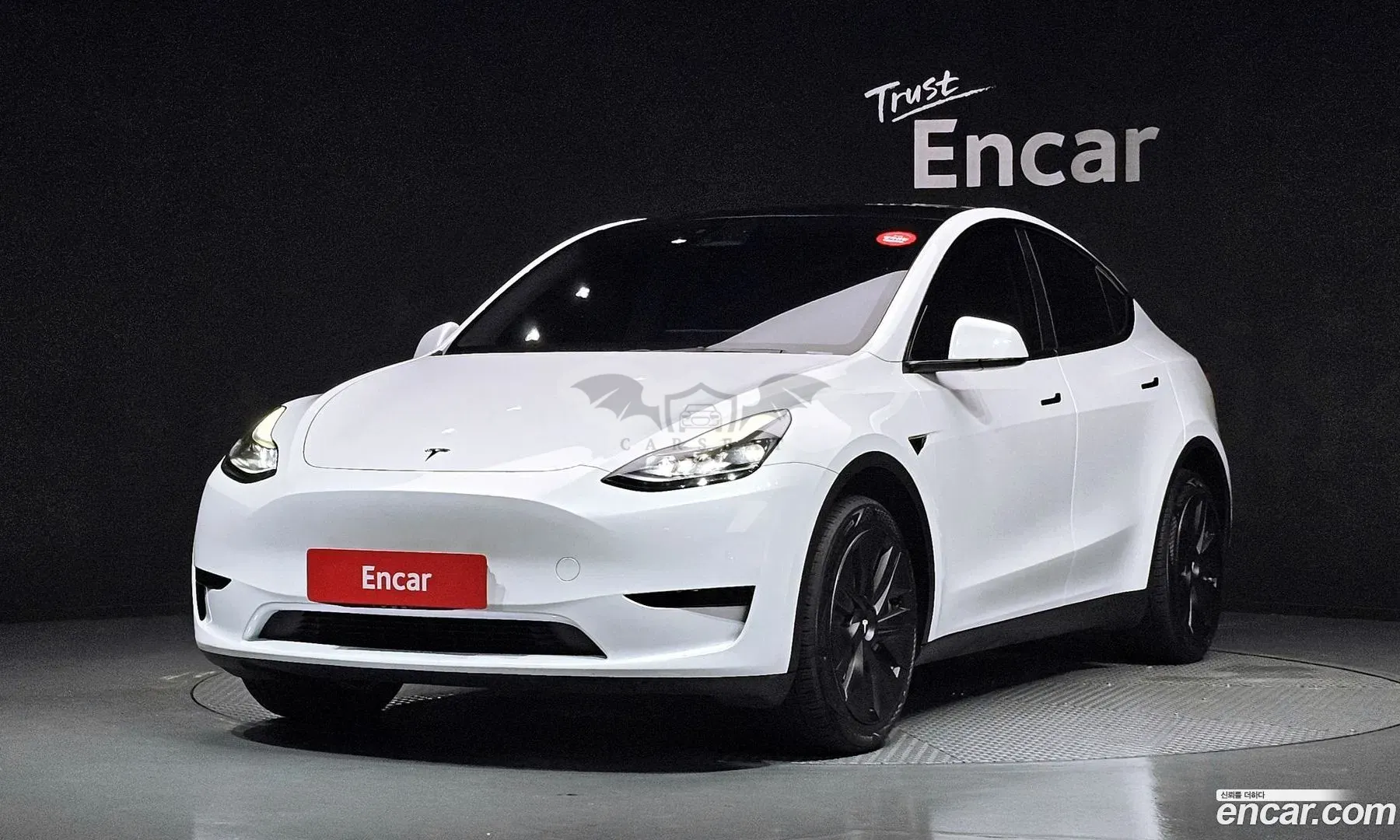 Tesla Model y RWD 2023