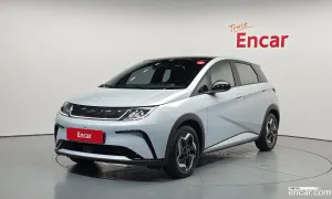 Byd Dolphin Base 2026