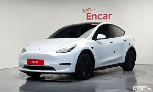 Tesla Model y Long Range AWD 2021