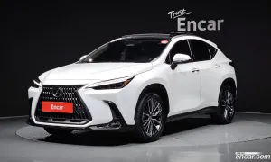 Lexus Nx Luxury 2024