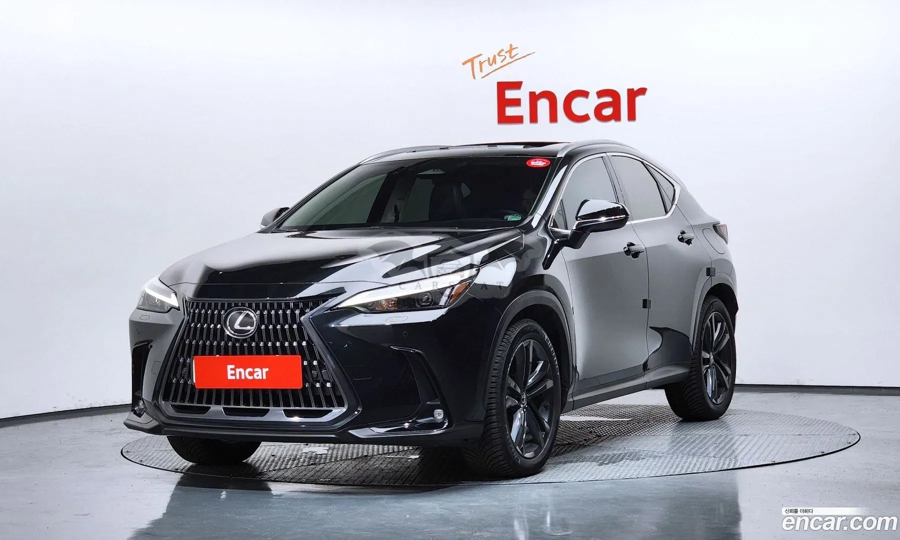 Lexus Nx Premium 2023