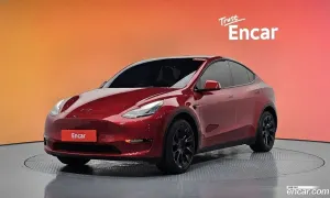 Tesla Model y Standard Range RWD 2021