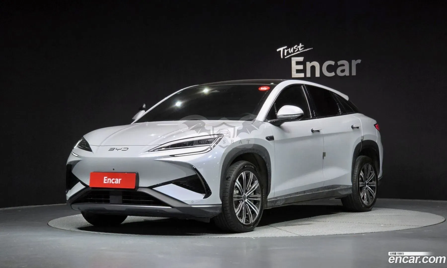 Byd Sealion 7 Base 2025