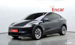 Tesla Model y Long Range AWD 2025