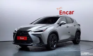 Lexus Nx Premium 2024