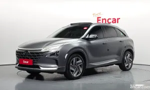 Hyundai Nexo Premium 2018