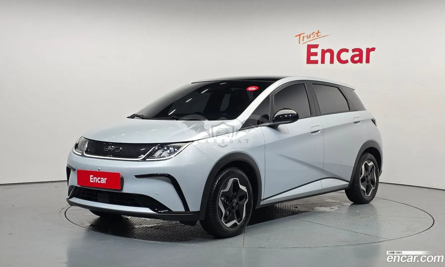 Byd Dolphin Base 2026