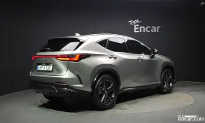Lexus Nx Premium 2025