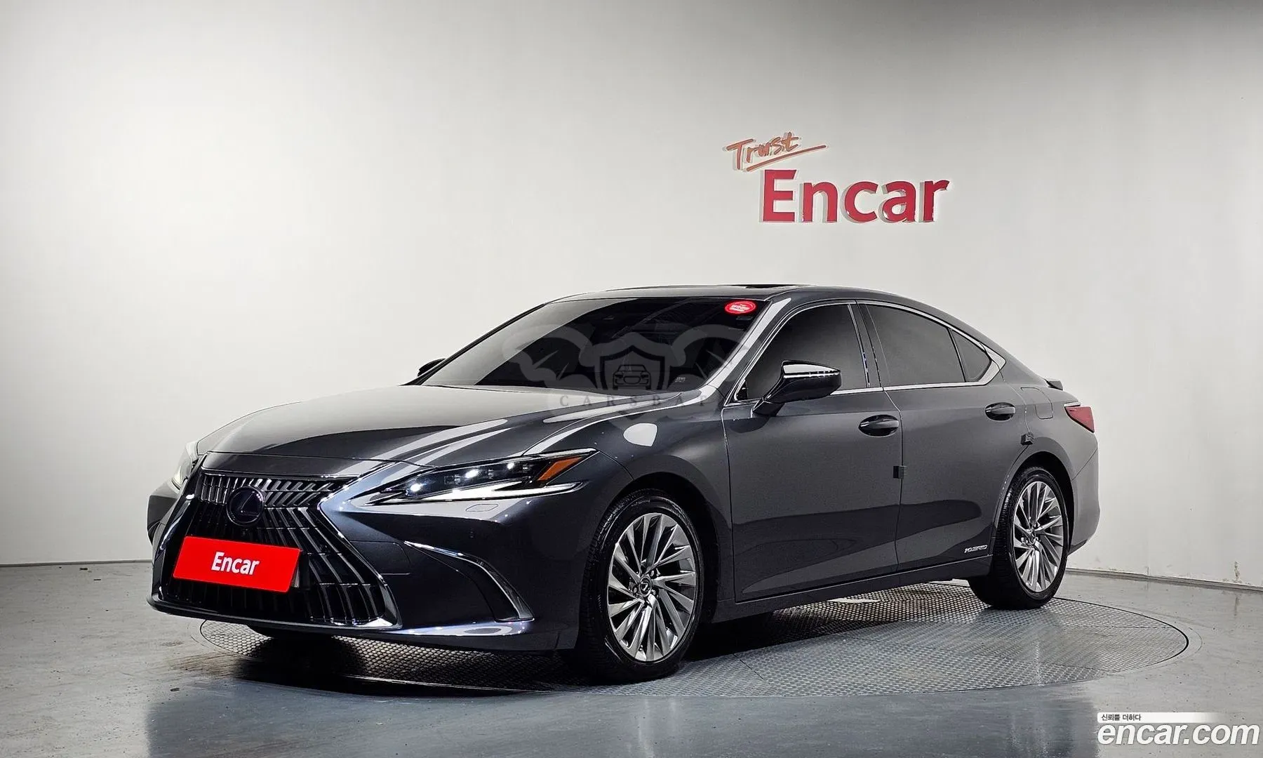 Lexus Es Executive 2021