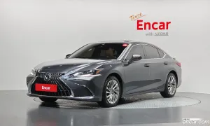Lexus Es Executive 2024
