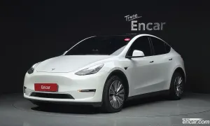 Tesla Model y Long Range AWD 2021