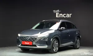 Hyundai Nexo Premium 2020