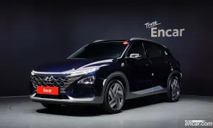 Hyundai Nexo Premium 2022