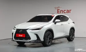 Lexus Nx Premium 2025