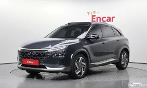 Hyundai Nexo Premium 2020