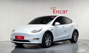 Tesla Model y Long Range AWD 2021