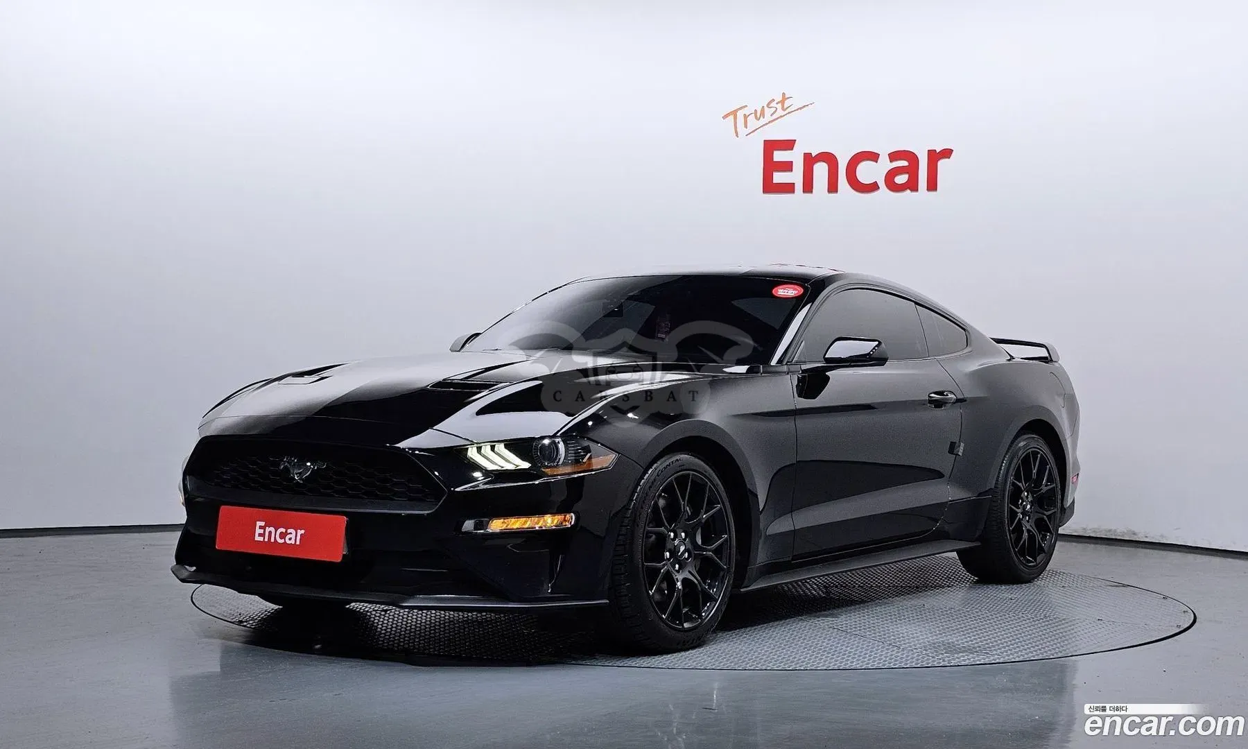 Ford Mustang Coupe 2021