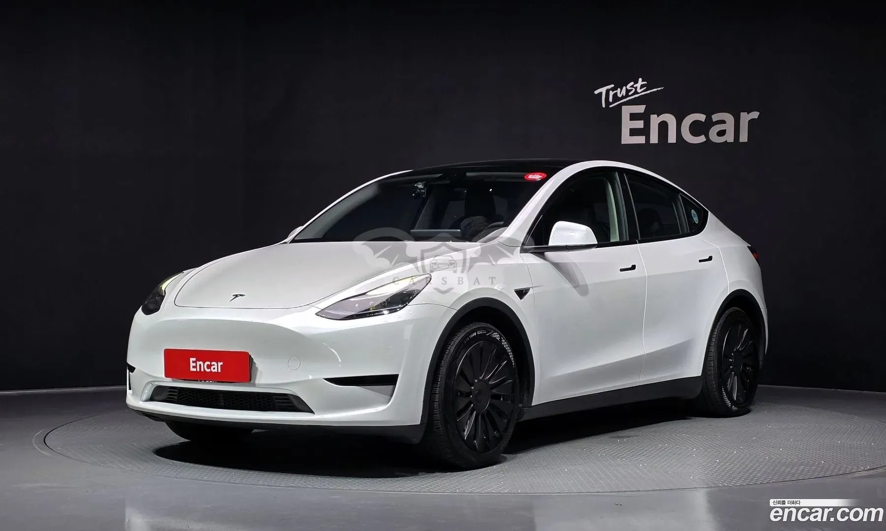 Tesla Model y RWD 2023