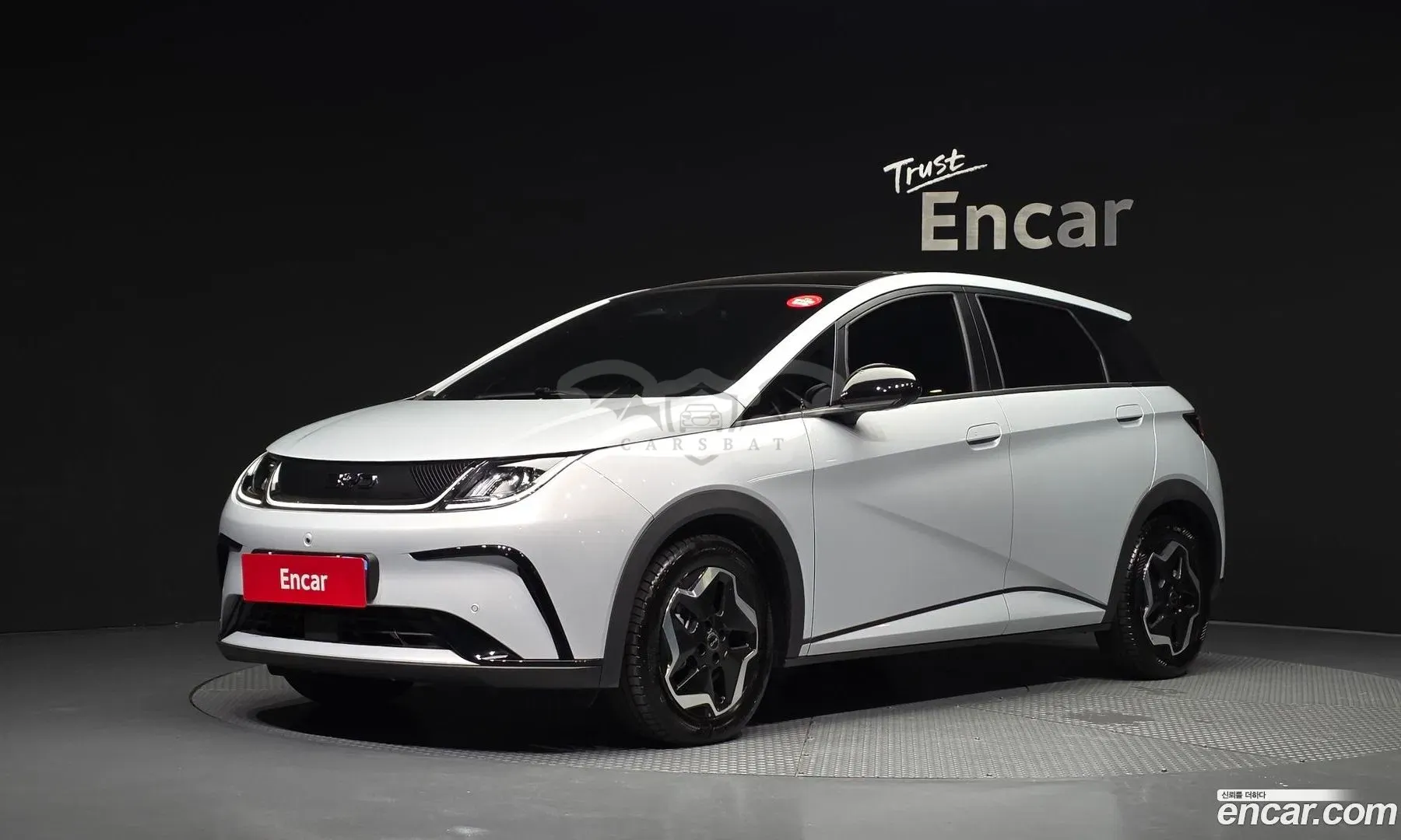 Byd Dolphin Base 2026
