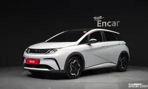 Byd Dolphin Base 2026