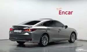 Lexus Es Executive 2021