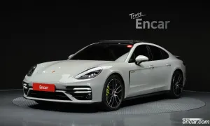 Porsche Panamera 2.9 AWD E-Hybrid Platinum Edition 2023
