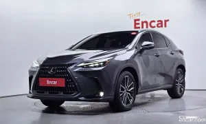 Lexus Nx Luxury 2025
