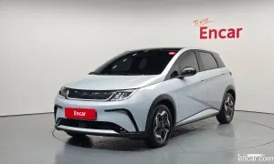 Byd Dolphin Base 2026