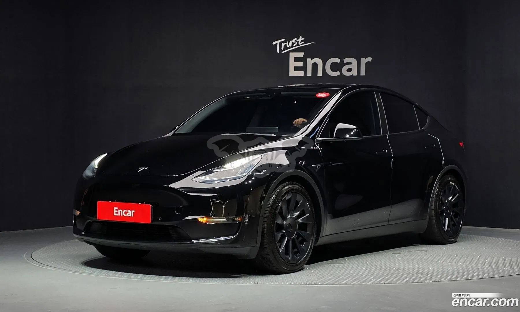Tesla Model y Standard Range RWD 2021