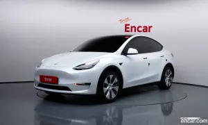 Tesla Model y Long Range AWD 2021