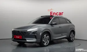 Hyundai Nexo Premium 2020