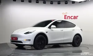 Tesla Model y Standard Range RWD 2021