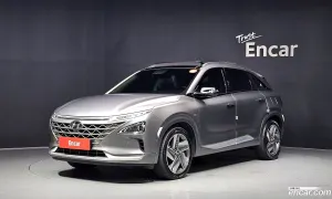 Hyundai Nexo Premium 2020