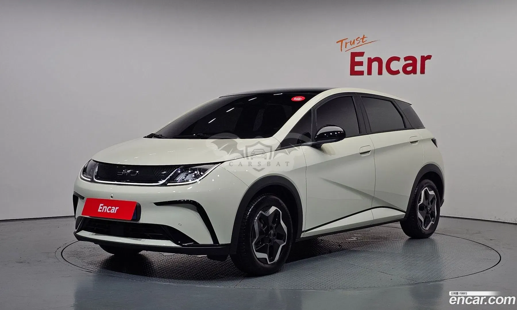 Byd Dolphin Base 2026