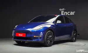 Tesla Model y Standard Range RWD 2021