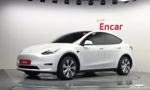 Tesla Model y Standard Range RWD 2021