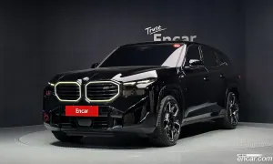 Bmw Xm 4.4 2025
