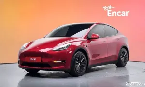 Tesla Model y Long Range AWD 2021