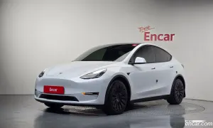 Tesla Model y Long Range AWD 2021