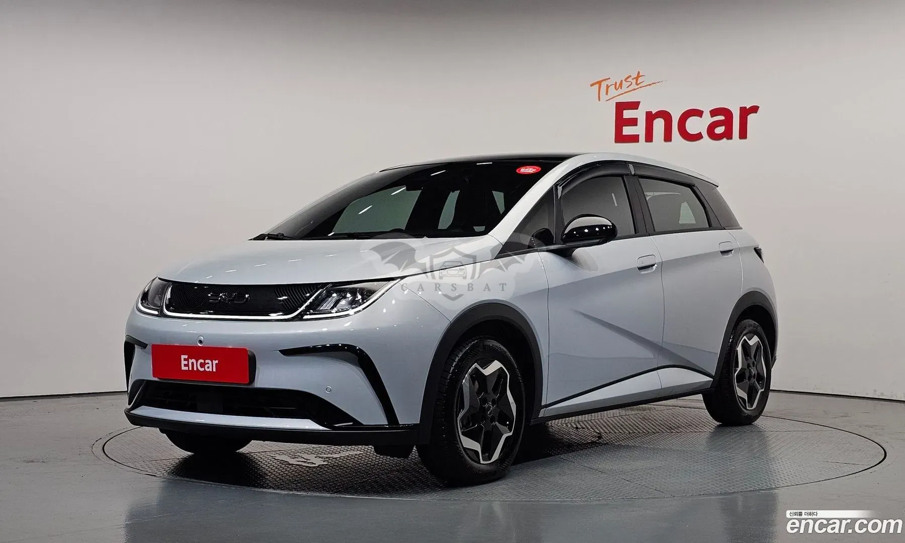 Byd Dolphin Base 2026