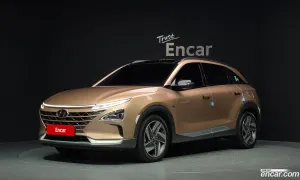 Hyundai Nexo Premium 2019