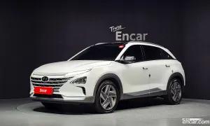 Hyundai Nexo Premium 2022