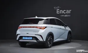 Byd Dolphin Base 2026
