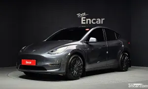 Tesla Model y Standard Range RWD 2021