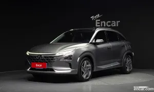 Hyundai Nexo Premium 2020